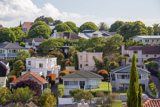 A  guide to testing your house for mould in New Zealand