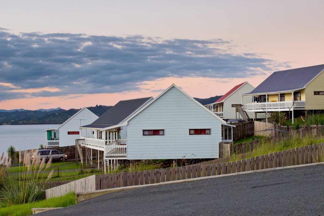 Is my house making me sick? The Mould Project