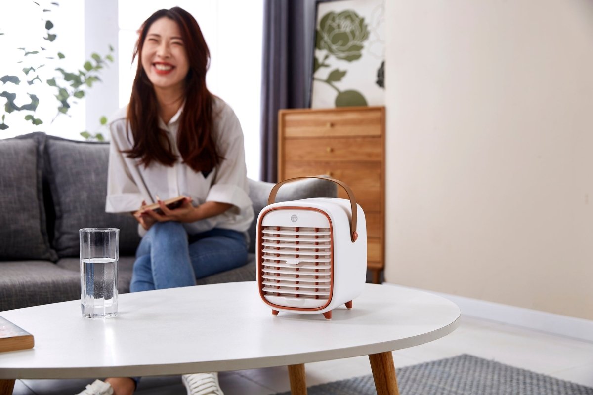 Smart Air QT3 Air Purifier (Travel)