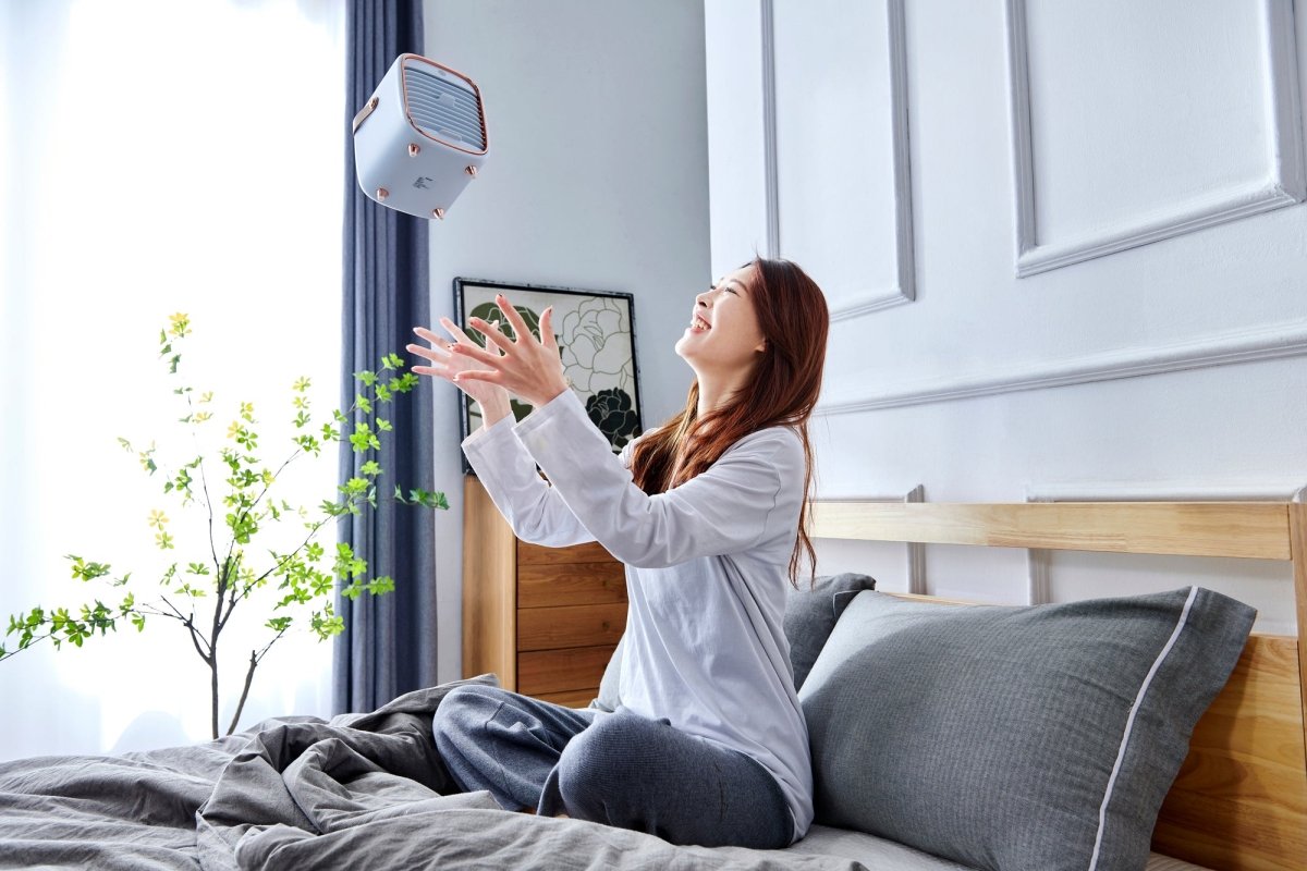 Smart Air QT3 Air Purifier (Travel)
