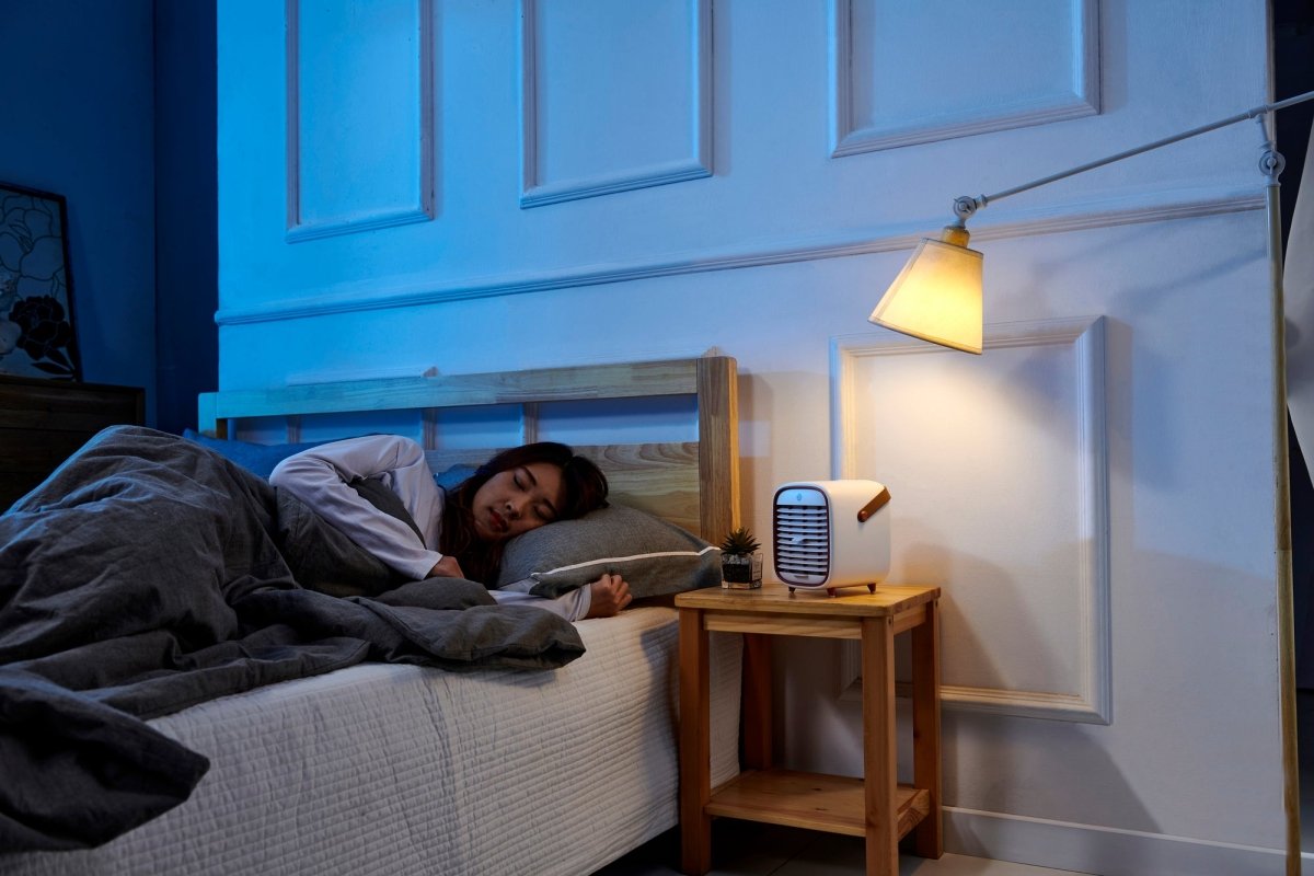Smart Air QT3 Air Purifier (Travel)