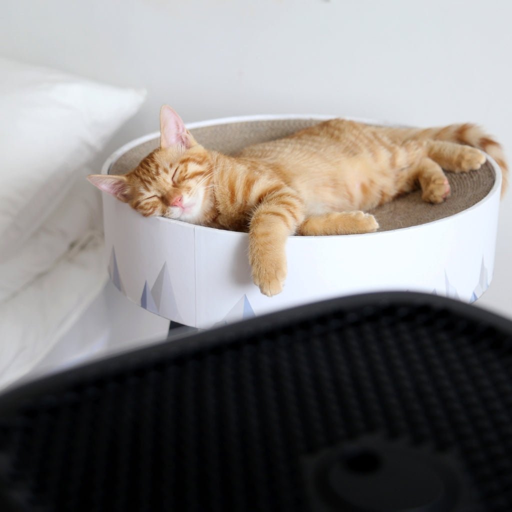 Smart Air - The Sqair Air Purifier